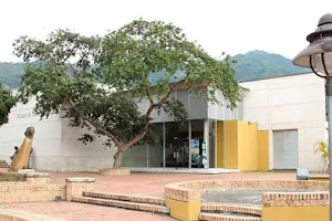 Museo de Arte del Tolima image