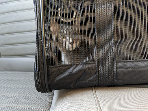 Pet Supply Store «PetSmart», reviews and photos, 4151 Turtle Creek Dr, Coral Springs, FL 33067, USA