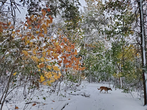 Park «Ward Park», reviews and photos, 57 Orchard St, Marlborough, MA 01752, USA