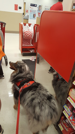 Department Store «Target», reviews and photos, 15300 Grove Circle North, Maple Grove, MN 55369, USA