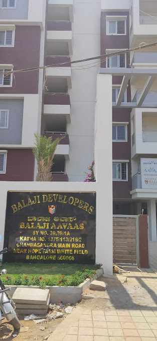 Google Maps image 15