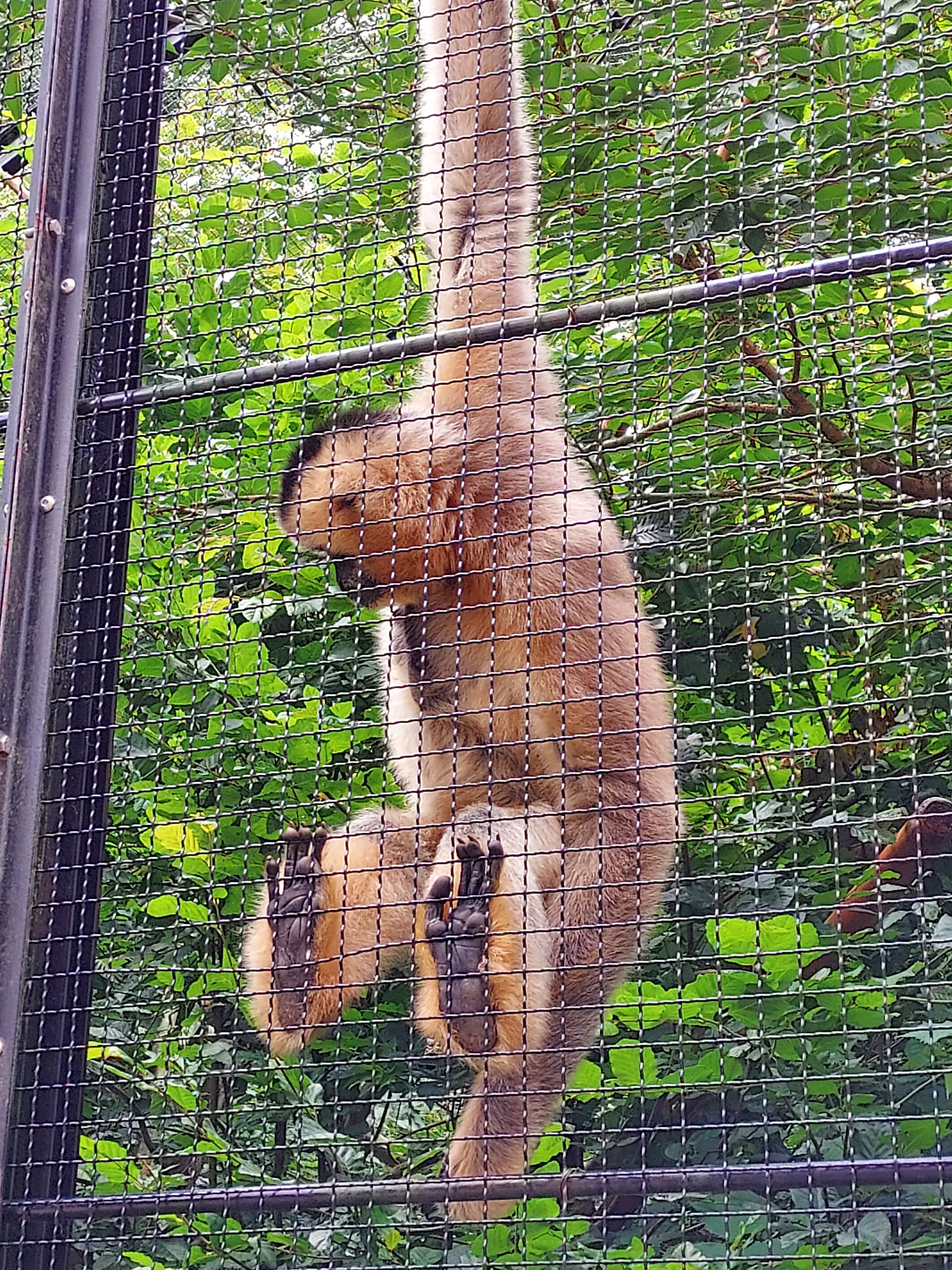 Photo n° 8 de l'avis de Marie-Claire.o fait le 03/07/2023 à 19:37
