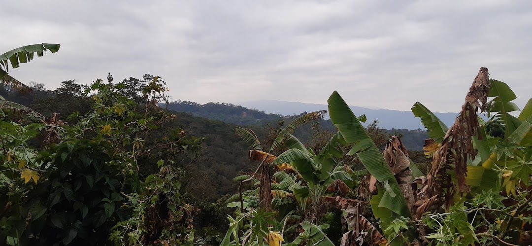 Finca el pensamiento