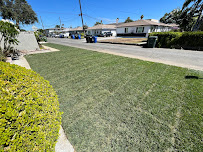 Enyol landscaping