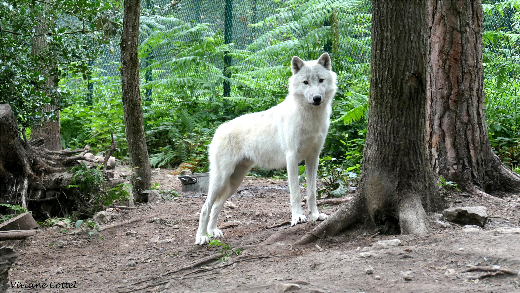 Photo n° 1 de l'avis de viviane.o fait le 19/07/2020 à 05:35
