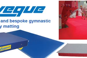Eveque Leisure Equipment Ltd image