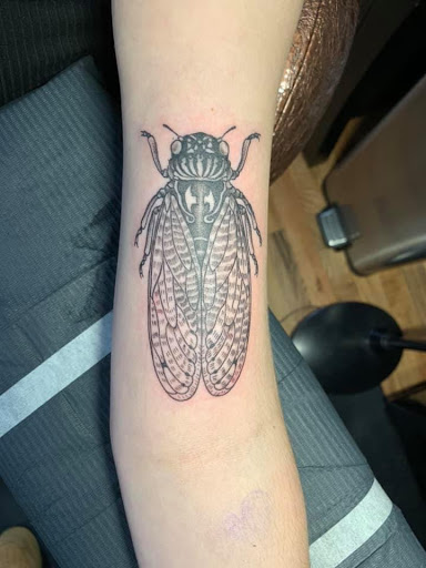 Explore forearm half sleeve tattoo ideas, creative tattoo ideas in Lake Villa, available at Eternal Tiger Tattoo