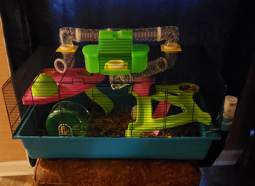 Pet Supply Store «Pet Supermarket», reviews and photos, 1629 Perry Hill Rd, Montgomery, AL 36106, USA