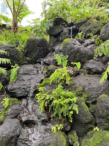 Amusement Park «Como Town», reviews and photos, 1301 Midway Pkwy, St Paul, MN 55103, USA