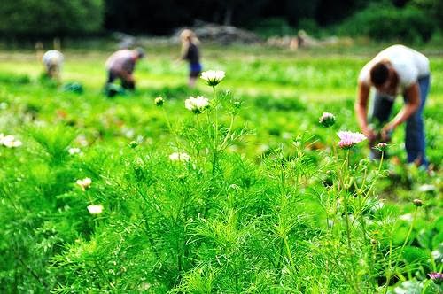 Farm «Langwater Farm», reviews and photos, 209 Washington St, North Easton, MA 02356, USA