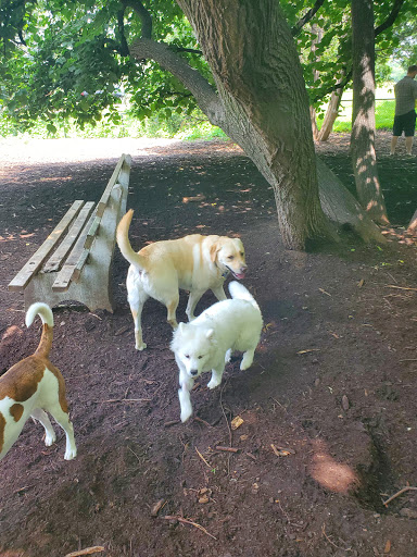 Park «Lake of the Isles Dog Park», reviews and photos, 2845 W Lake of the Isles Pkwy, Minneapolis, MN 55405, USA