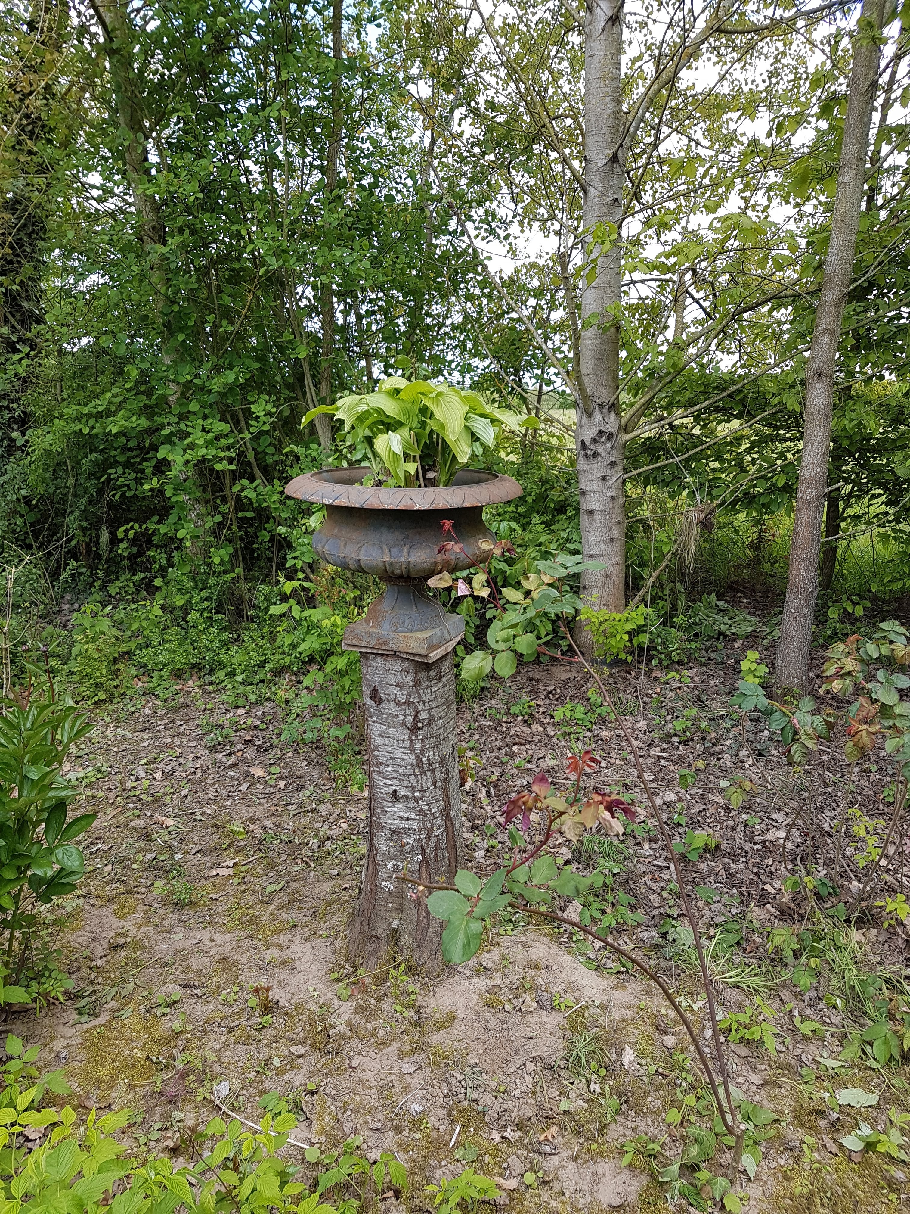 Photo n° 12 de l'avis de jerome. fait le 29/04/2017 à 17:03