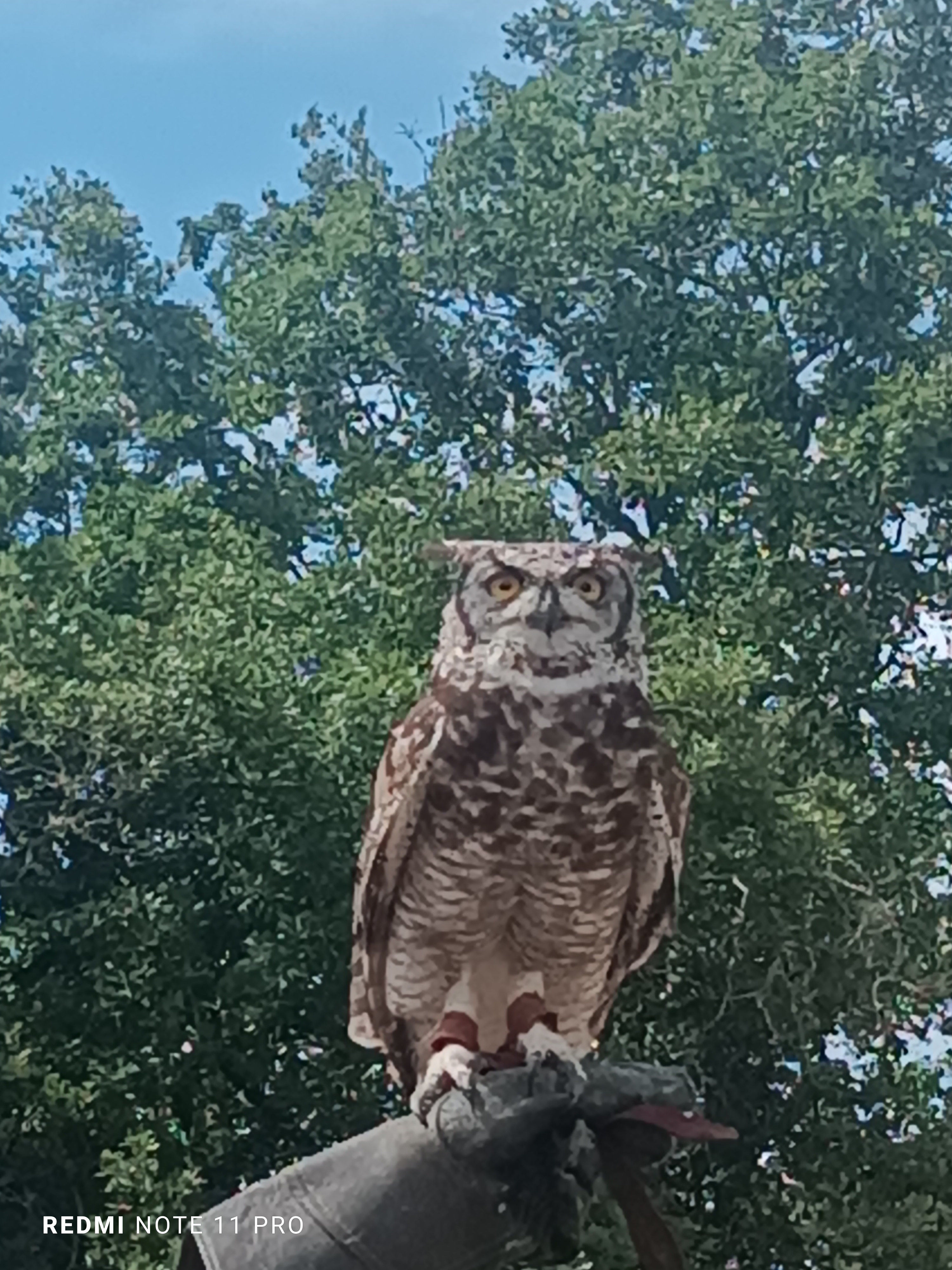Photo n° 5 de l'avis de Jy. fait le 25/07/2023 à 17:55