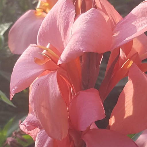 Fine Dining Restaurant «Prime at Saratoga National», reviews and photos, 458 Union Ave, Saratoga Springs, NY 12866, USA