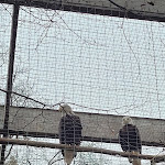 Photo n° 3 de l'avis de Cedric.l fait le 12/03/2022 à 14:18 pour Parc de Courzieu à Courzieu