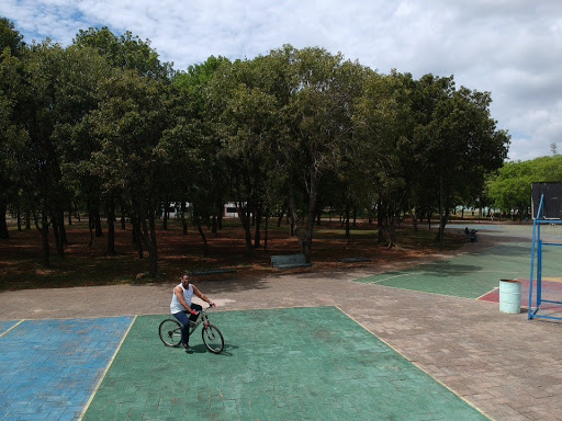 Parque Del Este