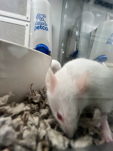 Pet Supply Store «Petco Animal Supplies», reviews and photos, 710 W 66th St, Richfield, MN 55423, USA