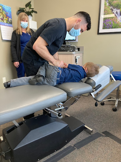N8 Chiropractic and Wellness - Chiropractor in Tampa Florida
