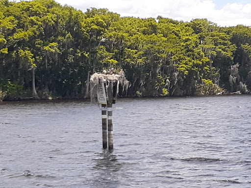 Cruise Agency «St Johns Rivership Co», reviews and photos, 433 N Palmetto Ave, Sanford, FL 32771, USA