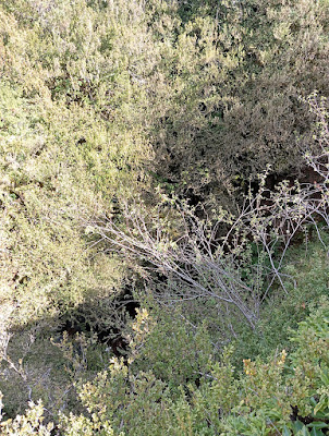 Aven de Tabourel à La Cresse