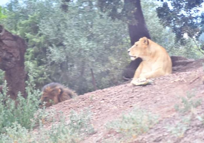 Photo n° 3 de l'avis de Bernard.u fait le 23/04/2019 à 19:35