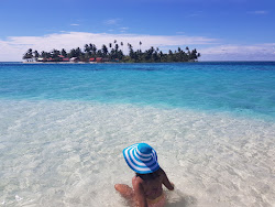 Islas Franklin Beach'in fotoğrafı ve güzel manzarası