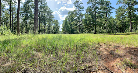 Fort Polk Wildlife Management Area