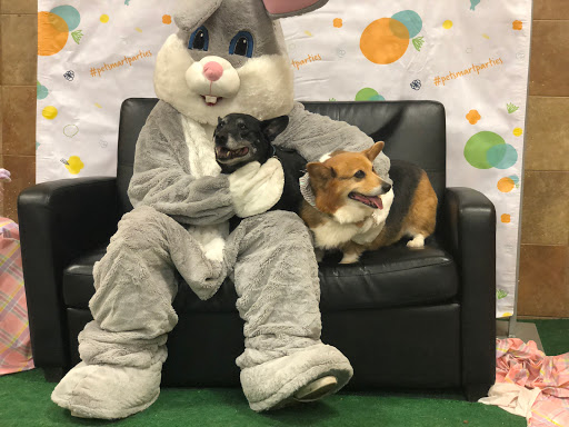 Pet Supply Store «PetSmart», reviews and photos, 1425 7th St E, Monticello, MN 55362, USA