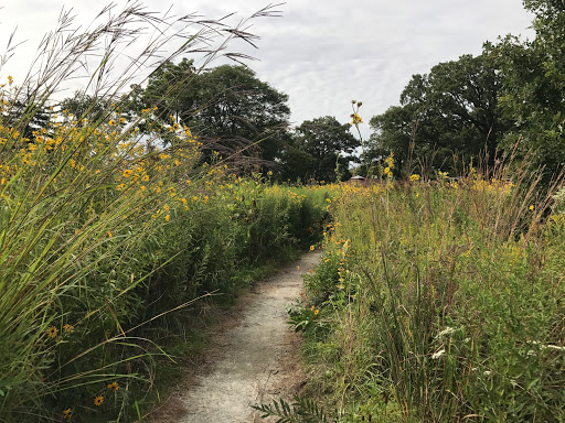 Nature Preserve «Wildwood Nature Center», reviews and photos, 529 Forestview Ave, Park Ridge, IL 60068, USA