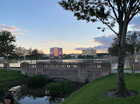 Michael Shea P.A. Orlando Business Broker - Photo 2 - Car repair in Orlando, FL, Orlando