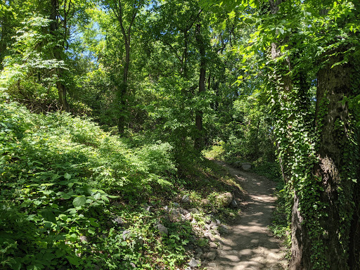 Buttermilk Trail