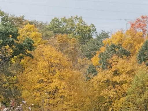 Event Venue «Rickey Farm, Concert Venue», reviews and photos, 442 NJ-94, Vernon Township, NJ 07462, USA