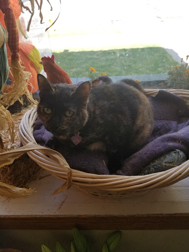 Florist «Unique Florist», reviews and photos, 8130 2nd St, Downey, CA 90241, USA