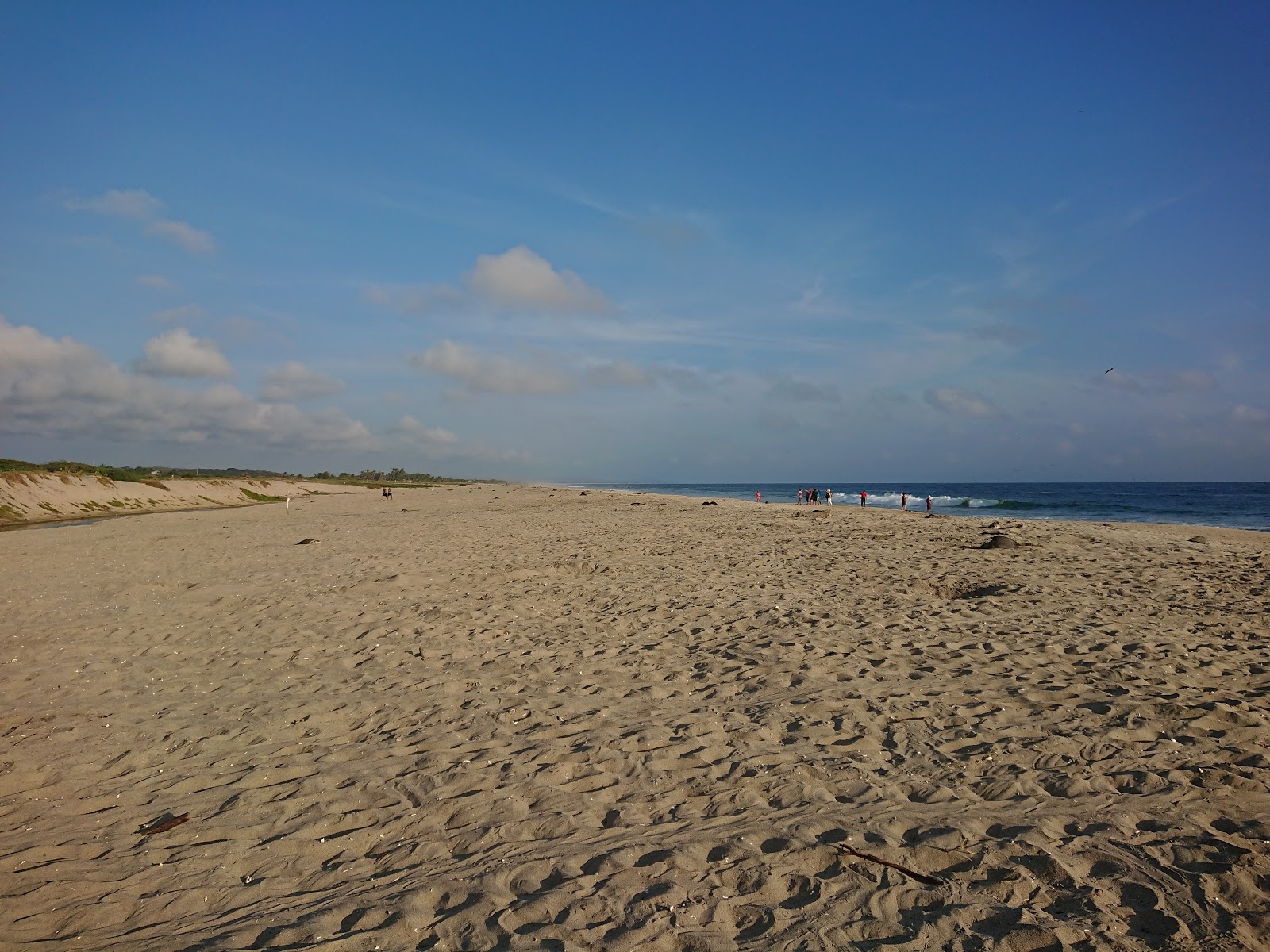 Foto de Playa Escobilla com areia fina e brilhante superfície