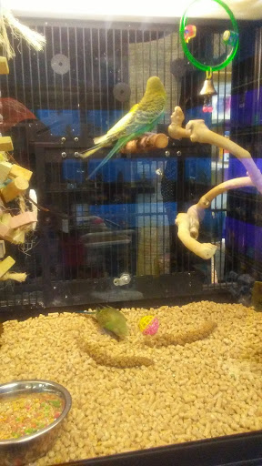 Pet Supply Store «PetSmart», reviews and photos, 139 Rolling Hills Cir, Easley, SC 29640, USA