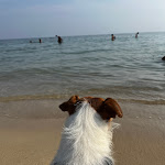 Photo n°1 de l'avis de An.a fait le 25/08/2023 à 17:58 sur le  AGRI BEACH eden Salento à Marina di Pescoluse