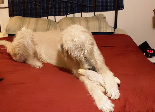 All-Tenn Pet & Horse Cremations, 2106 Ritter Rd, La Vergne, TN 37086, USA, 