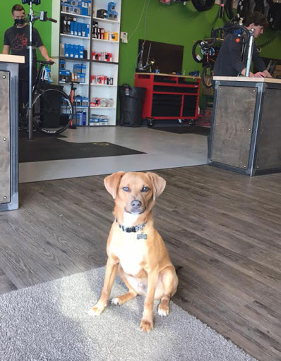 Bicycle Store «Elevation Cycles», reviews and photos, 2030 E County Line Rd, Highlands Ranch, CO 80126, USA