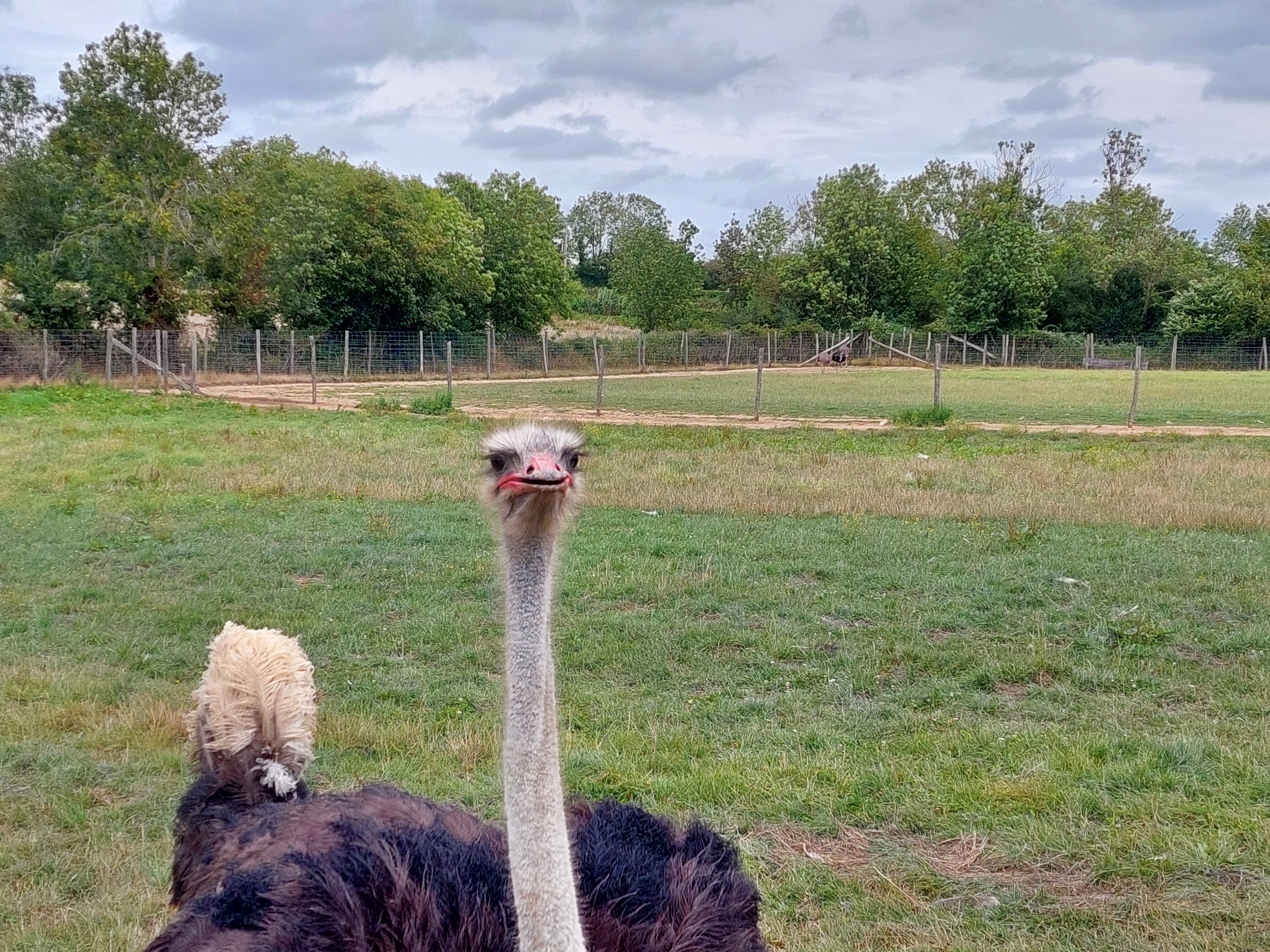 Photo n° 2 de l'avis de Mimi.i fait le 02/08/2023 à 16:57