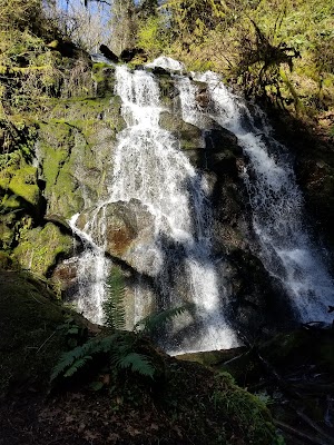 Woodburn Falls - photo 20