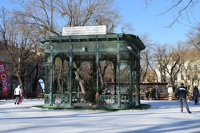 Székesfehérvár, Zichy liget, 8000 Magyarország