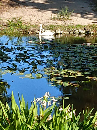 Museum «Bonnet House Museum & Gardens», reviews and photos, 900 N Birch Rd, Fort Lauderdale, FL 33304, USA