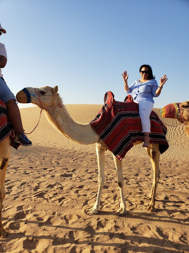 Travel Agency «Gate 1 Travel», reviews and photos