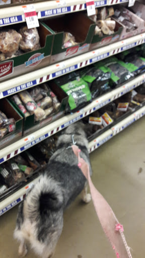 Pet Supply Store «Pet Supplies Plus», reviews and photos, 1213 Mentor Ave, Painesville, OH 44077, USA