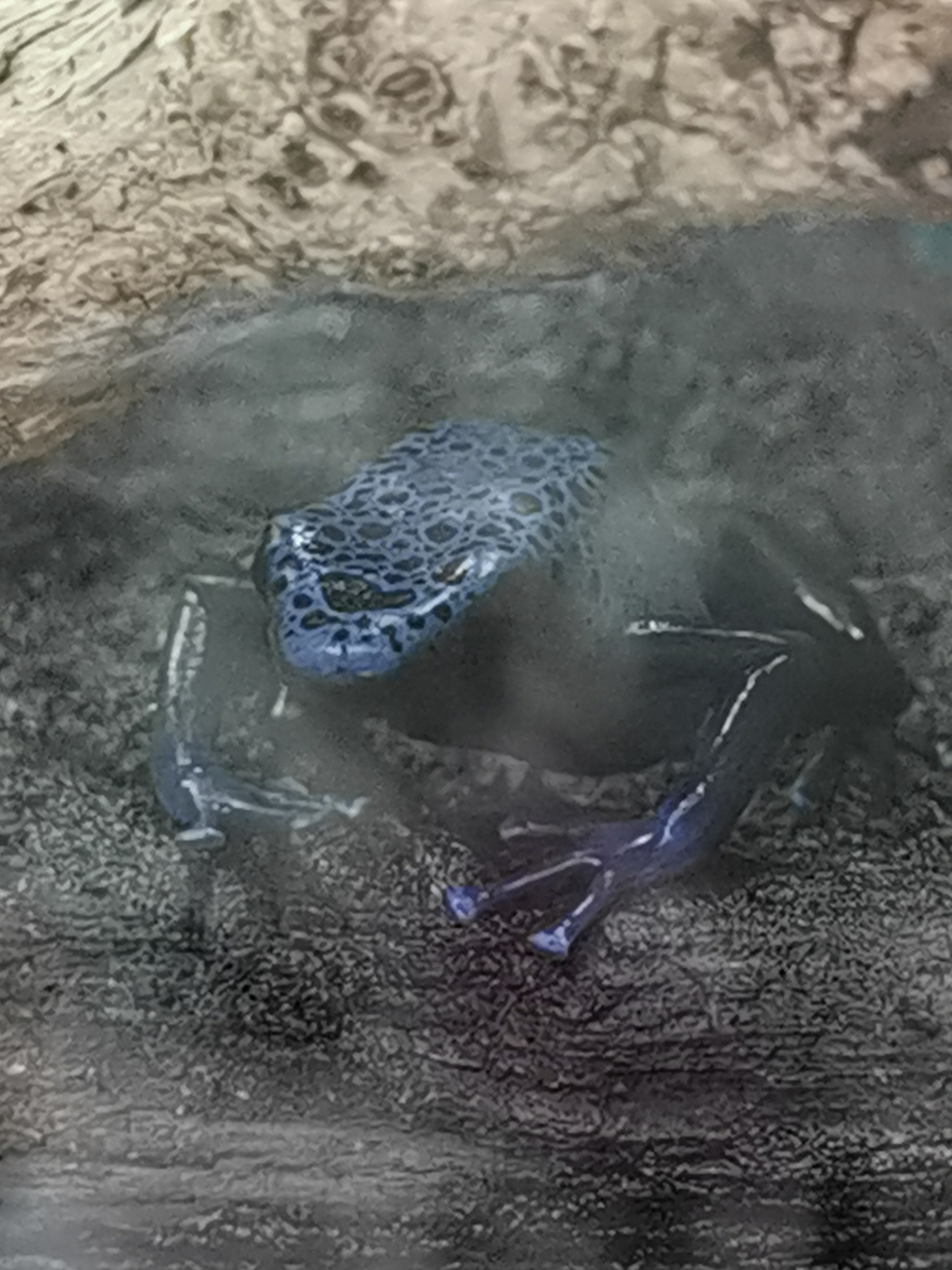 Photo n° 3 de l'avis de Bianca.a fait le 05/06/2022 à 15:50