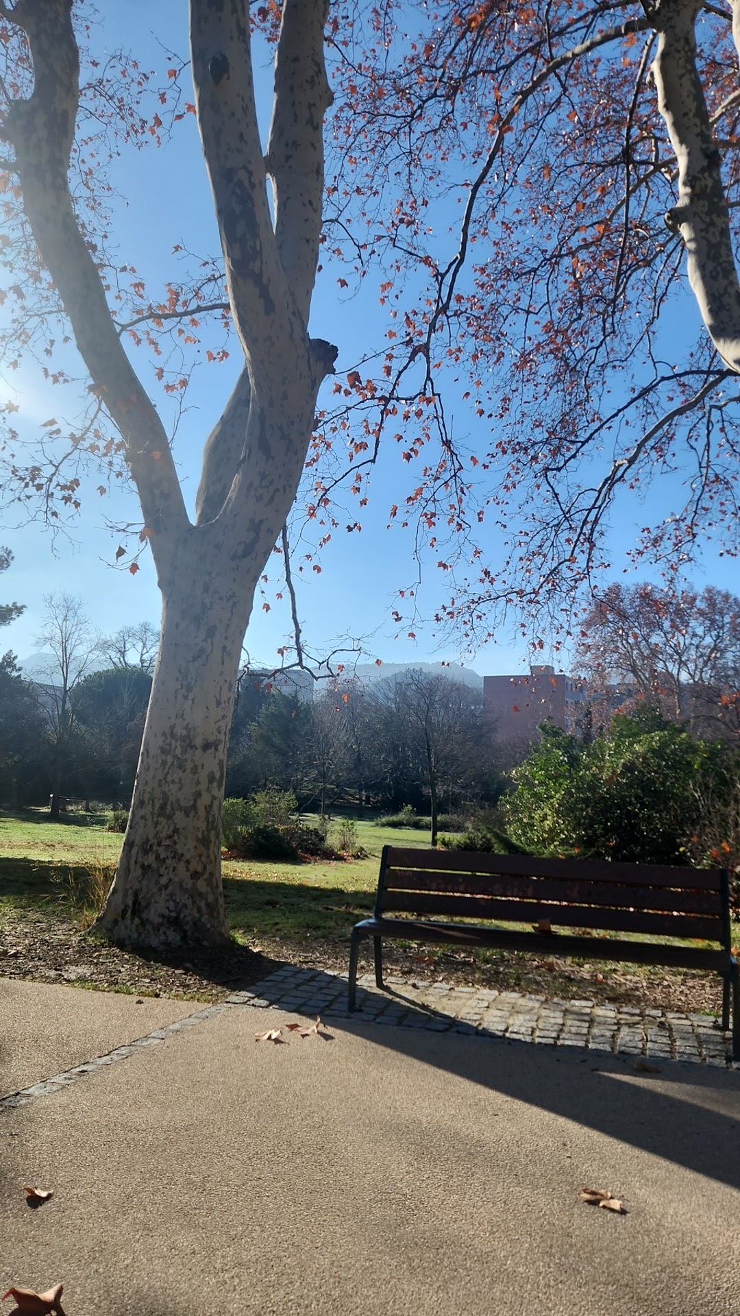 Photo n° 2 de l'avis de John.j fait le 12/01/2024 à 10:47