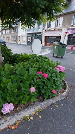 Photo 3 - Sarl Dozule Auto