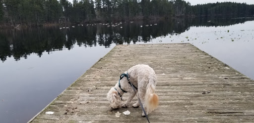 Community Park «Wells Mills County Park», reviews and photos, 905 Wells Mills Rd, Waretown, NJ 08758, USA