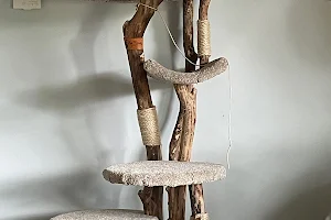 Paw Friendly Cat Furniture, LLC image