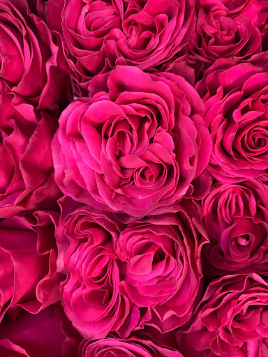 Florist «Petal Palace», reviews and photos, 15033 Nacogdoches Rd # 300, San Antonio, TX 78247, USA